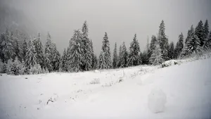 METEO 24 de ore de Cod roșu în Carpații Meridionali și de Curbură. Rafale de 120 km / h