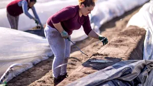 Analiză: Economia riscă să se prăbuşească. Ce model trebuie să urmeze România pentru a nu fi condamnată la sărăcie