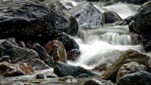Un studiu dezvăluie că 80% din râurile de pe Pământ își pierd rapid oxigenul