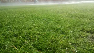 Cum arată gazonul Arenei Naţionale cu o zi înainte de Steaua-Twente - FOTO