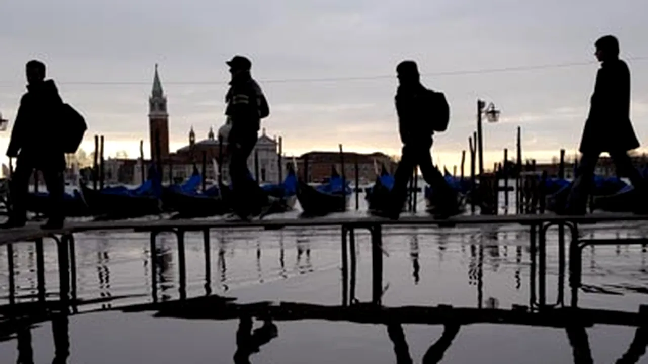 Italia: Circa 800 de câini, morţi sau dispăruţi din cauza ploilor