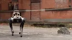 Chinezii au testat roboți-câini de luptă care operează autonom ca o „haită de lupi”