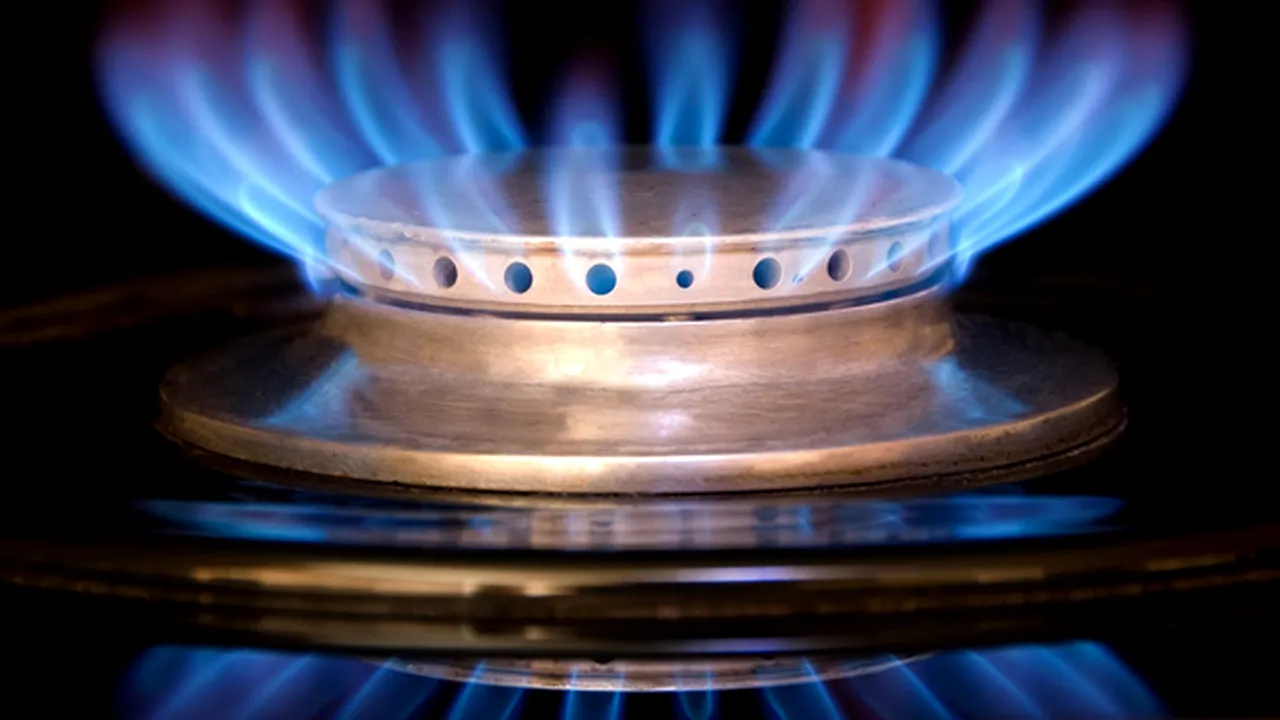 Departamentul pentru Energie: Preţul gazelor româneşti pentru populaţie nu creşte până la 1 iulie
