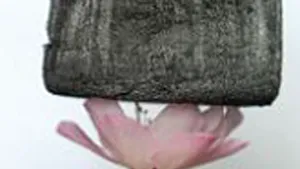 Invenţia care va schimba viitorul: Cel mai UŞOR material solid din lume - FOTO