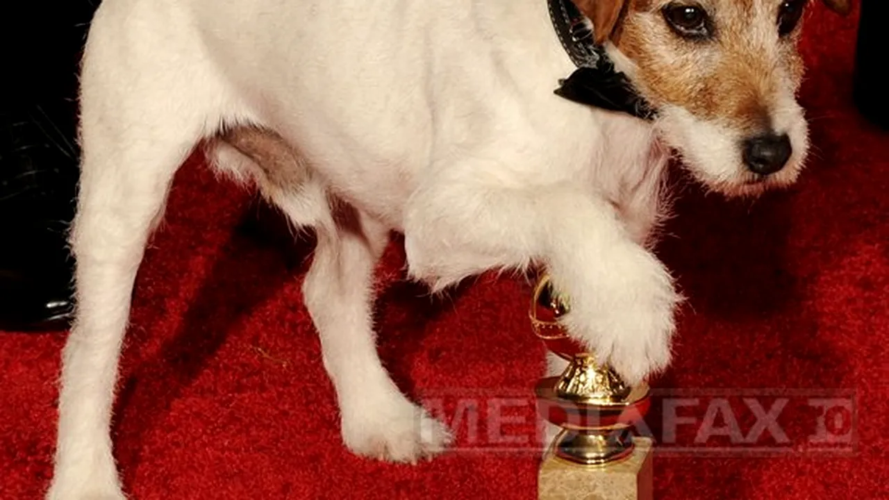 Uggie, câinele din 
