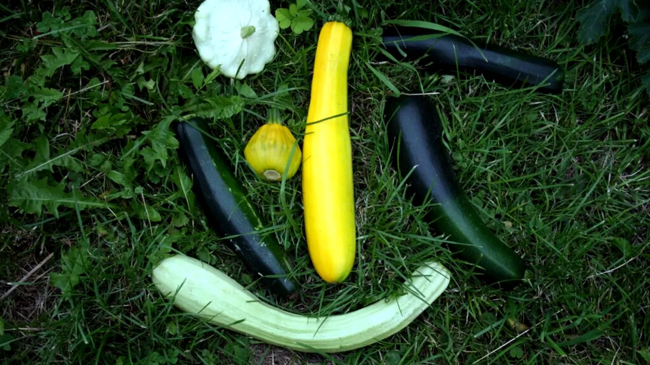 Alimentul minune pe care italienii îl pun pe masă toamna. Ce spun studiile despre stomac și prostată