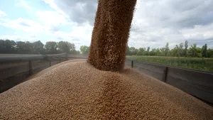 Polonia va cere Uniunii Europene sancţiuni fără precedent împotriva Rusiei, în sectorul agricol