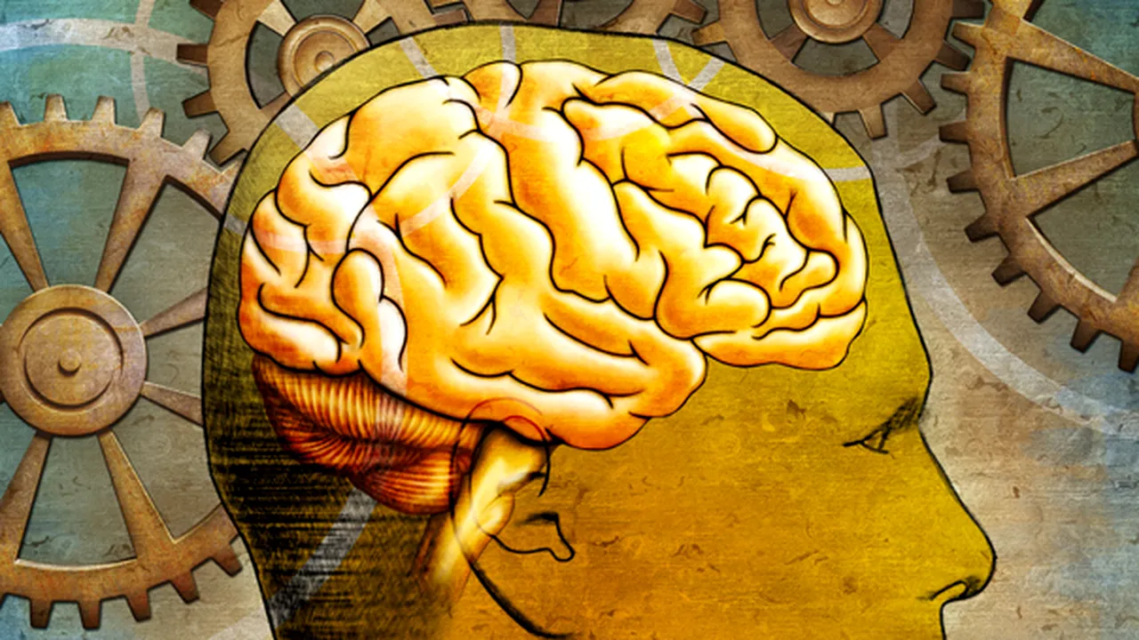 Alimentele-cheie recomandate de un expert Harvard pentru sănătatea creierului şi lupta împotriva bolii Alzheimer