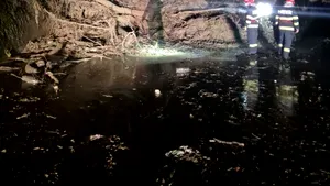 Noapte de foc pentru pompierii din Prahova. Au intervenit pentru inundații, copaci căzuți și alunecări de teren
