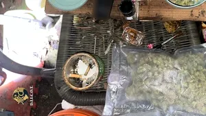 Cocaină și amfetamină pentru cluburi cu muzică electronică din Iași. Dealerii, unul dintre ei DJ, au fost arestați