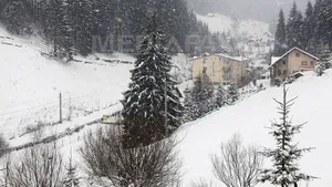 Sportivi din 12 ţări participă de vineri la Cupa mondială de sanie de pistă naturală la Vatra Dornei