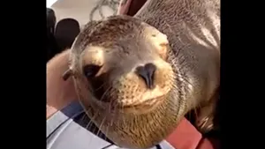 IMAGINI EMOŢIONANTE: Un bărbat, 