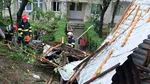 Zeci de mesaje Ro-Alert în țară din cauza vijeliilor: case inundate, copaci și acoperișuri la pământ, mașini distruse. Un om a murit