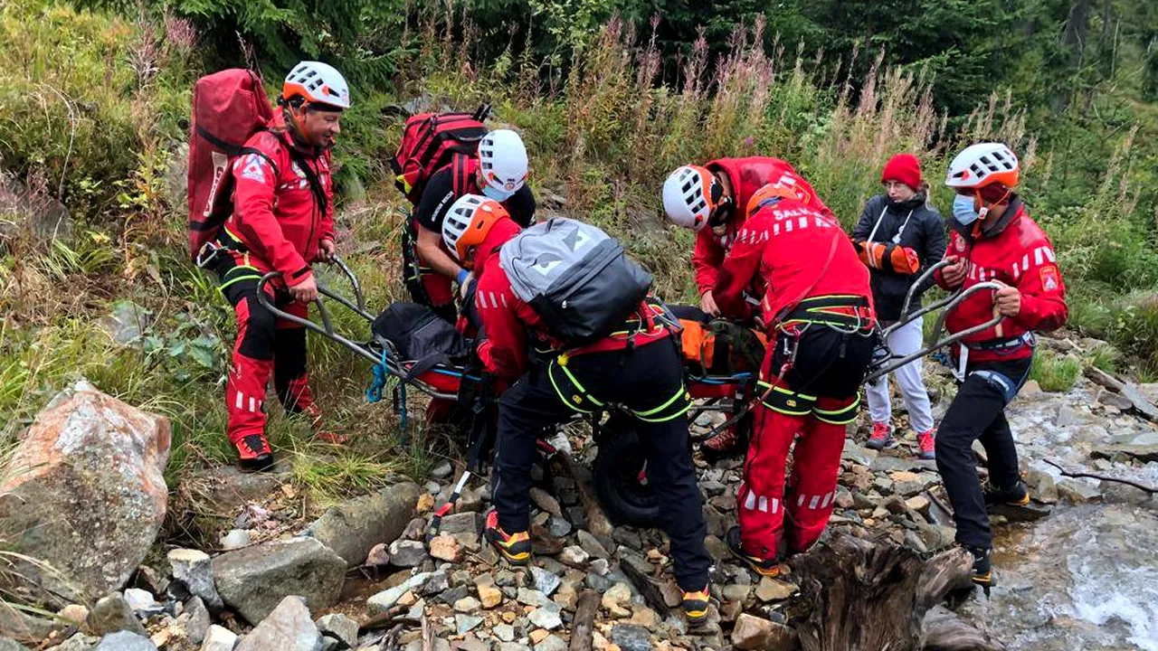 Un bărbat a fost atacat de viespi într-o pădure din Bistriţa Năsăud. A fost chemat elicopterul SMURD
