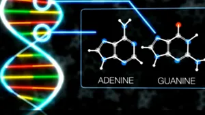 O nouă descoperire NASA: Unele componente ale ADN-ului provin din meteoriţi