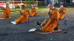 Reacţia hilară a unui călugăr budist când rugăciunea este întreruptă de doi căţei cu chef de joacă. VIDEO 