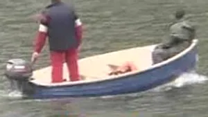 Căutările avocatei braşovene dispărute se extind în judeţul Covasna