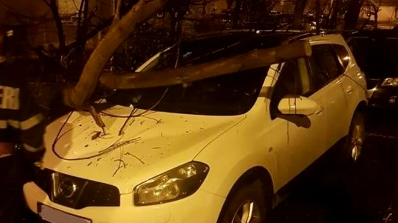Vremea a făcut ravagii în ultimele 24 de ore: Copaci doborâţi de vânt, TIR-uri blocate. Traficul rutier şi cel naval, afectate