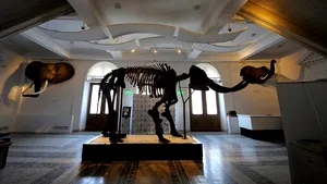 Muzeul Antipa va fi închis de luni până joi