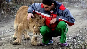 Animalele pe cale de dispariţie pot fi ajutate de oricine. Wildchain, jocul care permite adoptarea unui animal