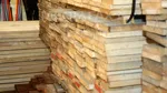 Dosar amplu de evaziune fiscală de 2 milioane de lei în domeniul forestier. 13 inculpați, plasați sub control judiciar