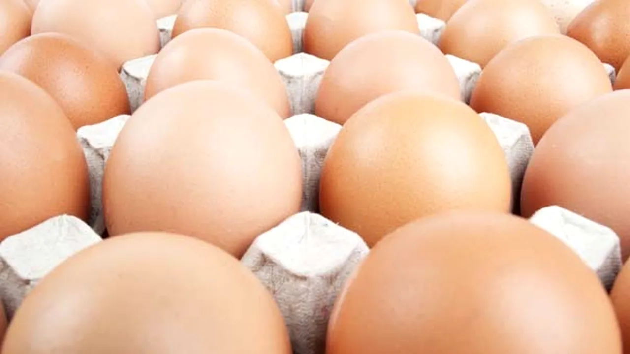 Ouă cu un nivel de dioxină peste limitele normale, depistate în ferme din Germania