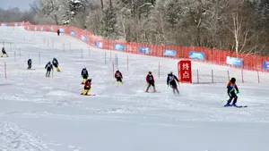 Jocurile Asiatice de Iarnă 2029 ar putea fi mutate în China sau Coreea de Sud