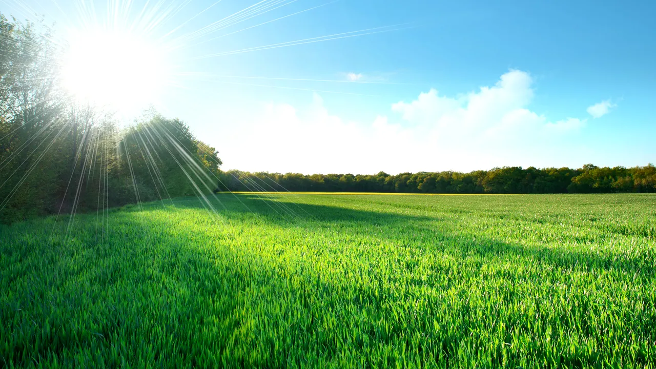 Vremea va fi mult mai caldă decât în mod obişnuit, maximele ating şi 33 grade Celsius. PROGNOZA METEO pentru miercuri şi joi