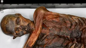 Imagini cu Otzi, omul gheţurilor