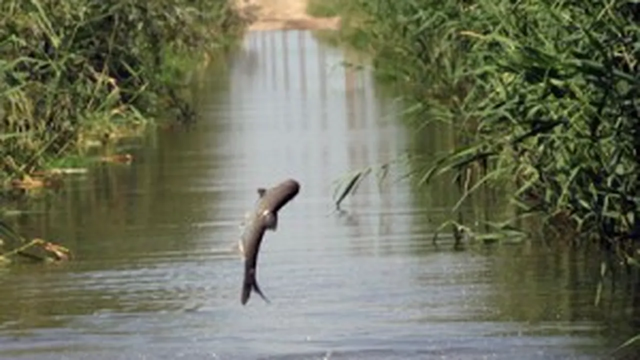 Romanian River Prut Floods Grasslands In E Romania