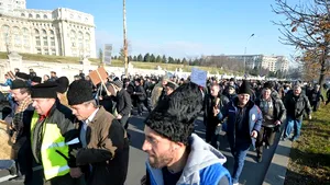 Legea Vânătorii ar putea fi modificată după protestele crescătorilor de oi. Dan Suciu: acest lucru nu se poate face prin ordonanţă de urgenţă, fiind vorba despre o lege iniţiată de Parlament