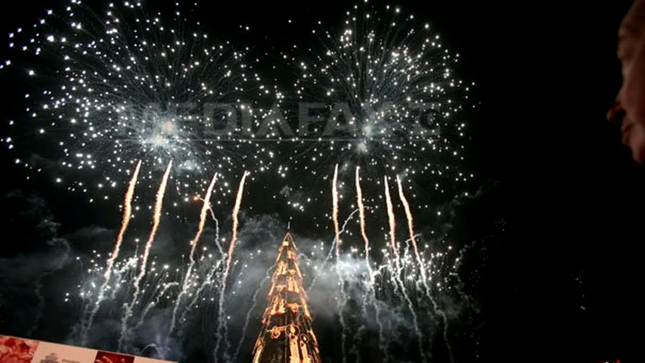 Festivalul Brazilor de Crăciun: 27 de creaţii vor fi scoase la licitaţie în 6 decembrie. Ce designeri vor participa