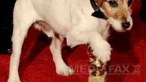 Uggie, câinele din 