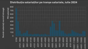 Cum plătesc, cu adevărat, companiile de pe piaţa locală: mai mult de o treime dintre salariile din România nu depăşesc 2.600 de lei net pe lună. Cei mai mulţi dintre angajaţi sunt plătiţi cu salarii brute între 3.700 şi 3.750 de lei pe lună, respectiv 1,1 milioane de persoane 