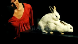 O expoziţie dedicată sexului din lumea animalelor, vernisată la Londra