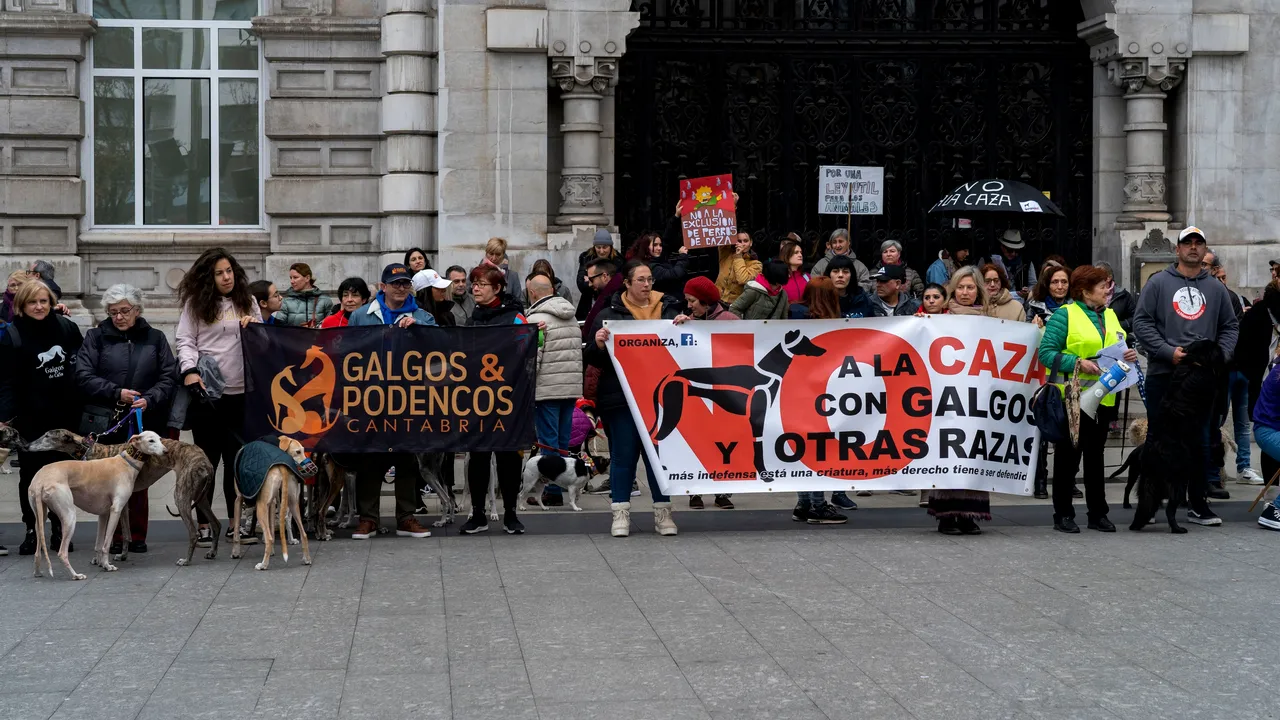 Congresul Spaniei exclude câinii de vânătoare din noua lege privind drepturile animalelor. Activiştii au protestat împotriva deciziei