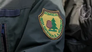 Romsilva acuză Ministerul Mediului că blochează alegerea unui nou director