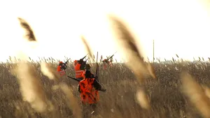 Un bărbat a fost împușcat la o partidă de vânătoare în județul Buzău. A fost transportat cu elicopterul SMURD la un spital din Capitală