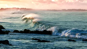 Roci ciudate, asemănătoare cu „pielea de elefant”, dezvăluie forme de viață străvechi din adâncurile oceanului