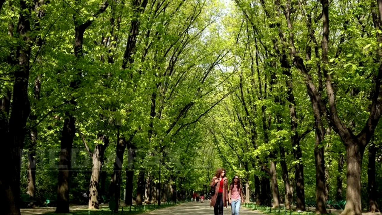 VREMEA se încălzeşte. Prognoza meteo luni şi marţi în ţară şi în Bucureşti