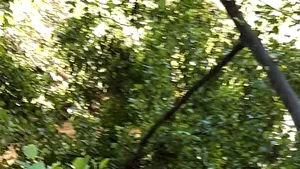 Intervenţie contracronometru în Alba: Doi copii surprinşi de ape pe malul unui râu | FOTO