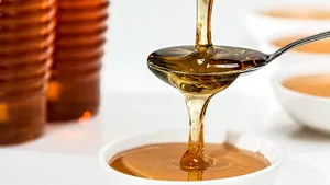Criza albinelor. O miere sintetică, produsă de bacterii, a fost premiată la o competiţie a MIT