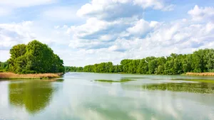 Debitul Dunării a ajuns la cel mai mic nivel din ultimii 30 de ani. Circulaţia navelor se desfăşoară cu greutate