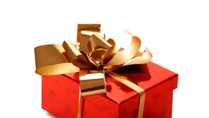 Corpul de control al MAI sesizează Parchetul General în cazul listei de cadouri pentru şefi din IGPR