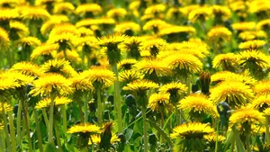 Cum va fi VREMEA până pe 8 martie. Prognoza meteo pentru fiecare regiune a ţării