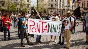 Guvernul prezintă sinteza unui raport de control din ianuarie, trimis DNA, pe tema defrişărilor