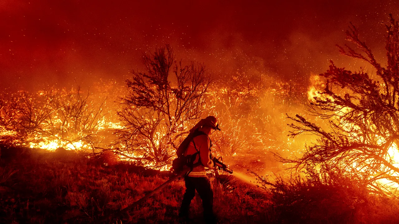 Valul de căldură toridă declanşează incendii de vegetaţie în Europa