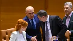PSD: Plafonarea prețurilor la alimente a redus inflația și a protejat puterea de cumpărare românilor