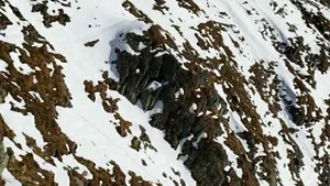 Doi turiști au murit după ce au căzut sute de metri pe o pantă în Munții Făgăraș