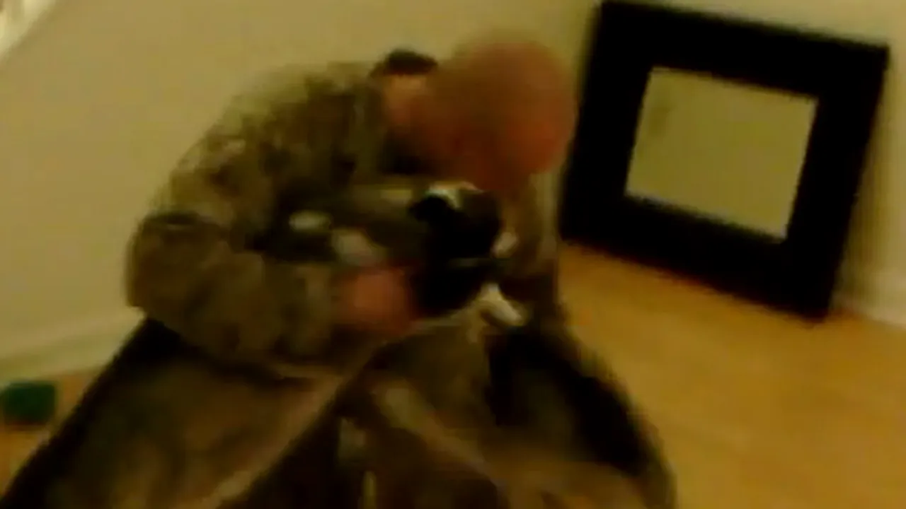 IMAGINI EMOŢIONANTE: Cum reacţionează doi câini când îşi revăd stăpânul întors din Afganistan - VIDEO